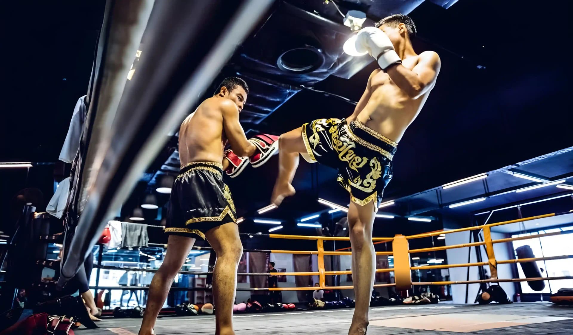 Toekomstige Kampioenschappen Muay Thai